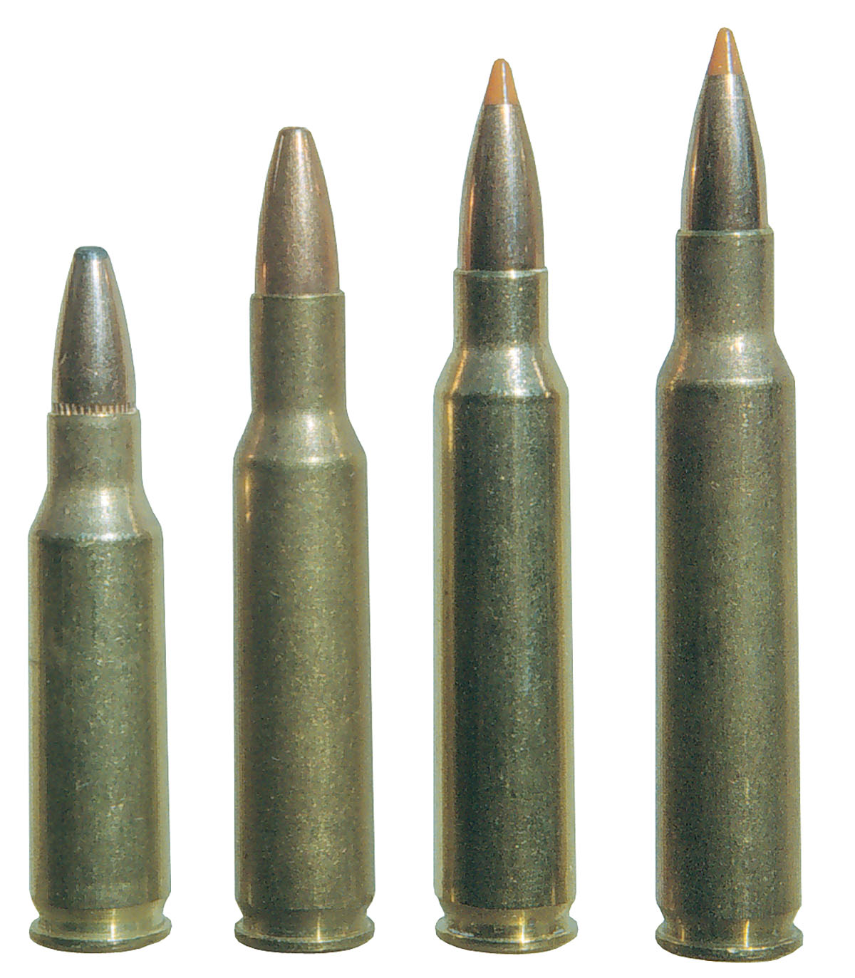 This cartridge lineup includes (left to right): .221 Remington, .222 Remington, .223 Remington and .222 Remington Magnum. Note the shoulder of the .222 Magnum is .026 inch forward of the .223’s shoulder.